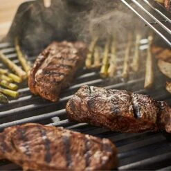 Weber Spirit E-210 2-Burner Freestanding Propane Gas Grill (WEB-46110001) -Weber web 46110001 feat a 05 22