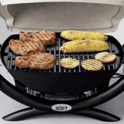 Weber Q1000 Portable Propane Gas Grill (WEB-50060001) -Weber web 50060001 feat a 05 22