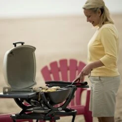 Weber Q2200 Portable Propane Gas Grill With Side Tables On Scissor Cart (WEB-54060001-WEB-6557) -Weber web 54060001 ls a 05 22 1
