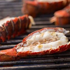 Weber Summit 6-Burner Built-In Gas Grill With Rotisserie, Sear Station And Access Doors (WEB-S-660) -Weber web s 460 feat d 05 22